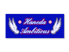 プリントフェイスタオル 羽田アンビシャス 2018