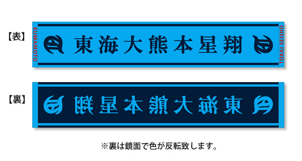 東海大学付属熊本星翔高校 野球部