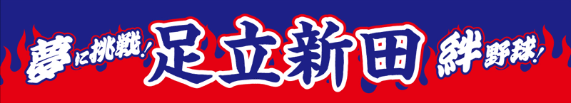 東京都立足立新田高等学校 野球部
