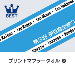 ランキング画像：プリントマフラータオル
