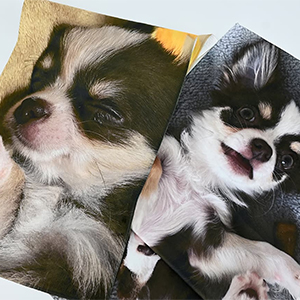 昇華転写プリント