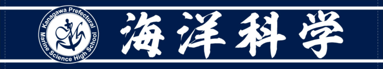 オリジナルプリントマフラータオル